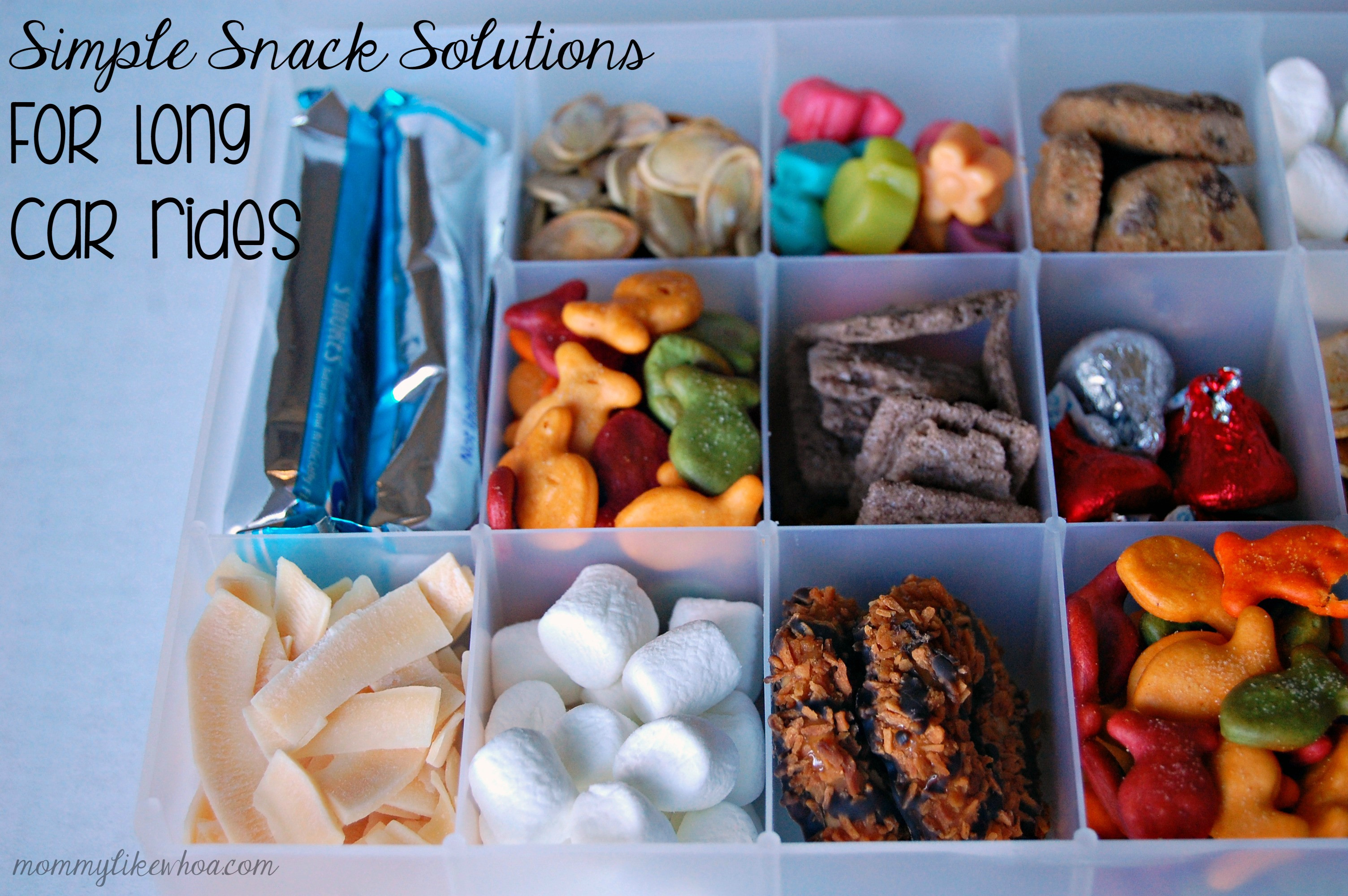 Healthy Snacks For Car Rides
 Healthy snacks on the go uk how to be healthy body snack