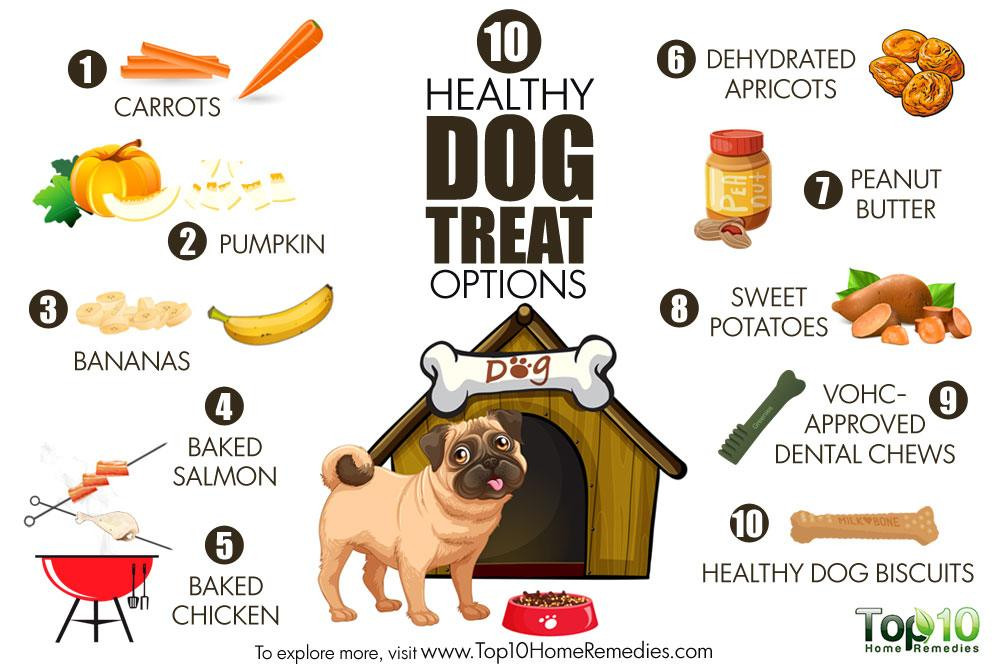 Healthy Snacks For Dogs
 10 Healthy Dog Treat Options