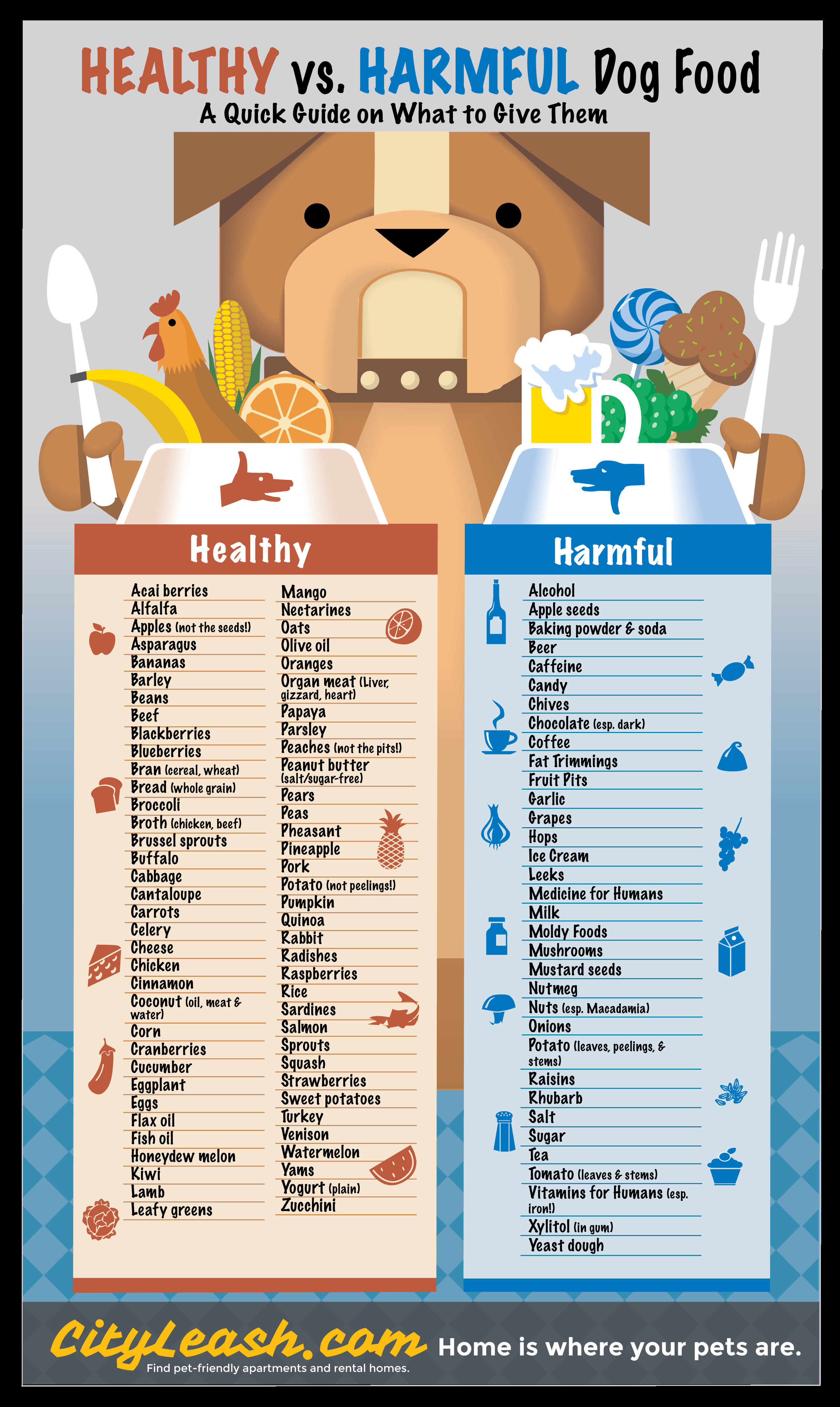 Healthy Snacks For Dogs
 Printable Healthy and Harmful Food for Dogs Poster
