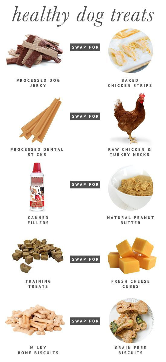 Healthy Snacks For Dogs
 5 Fresh & Healthy Dog Treat Alternatives