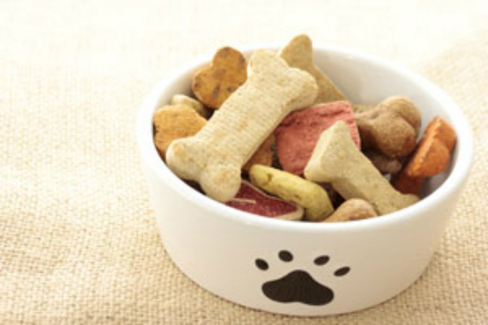 Healthy Snacks For Dogs
 Healthy and Yummy Dog Treats to Make