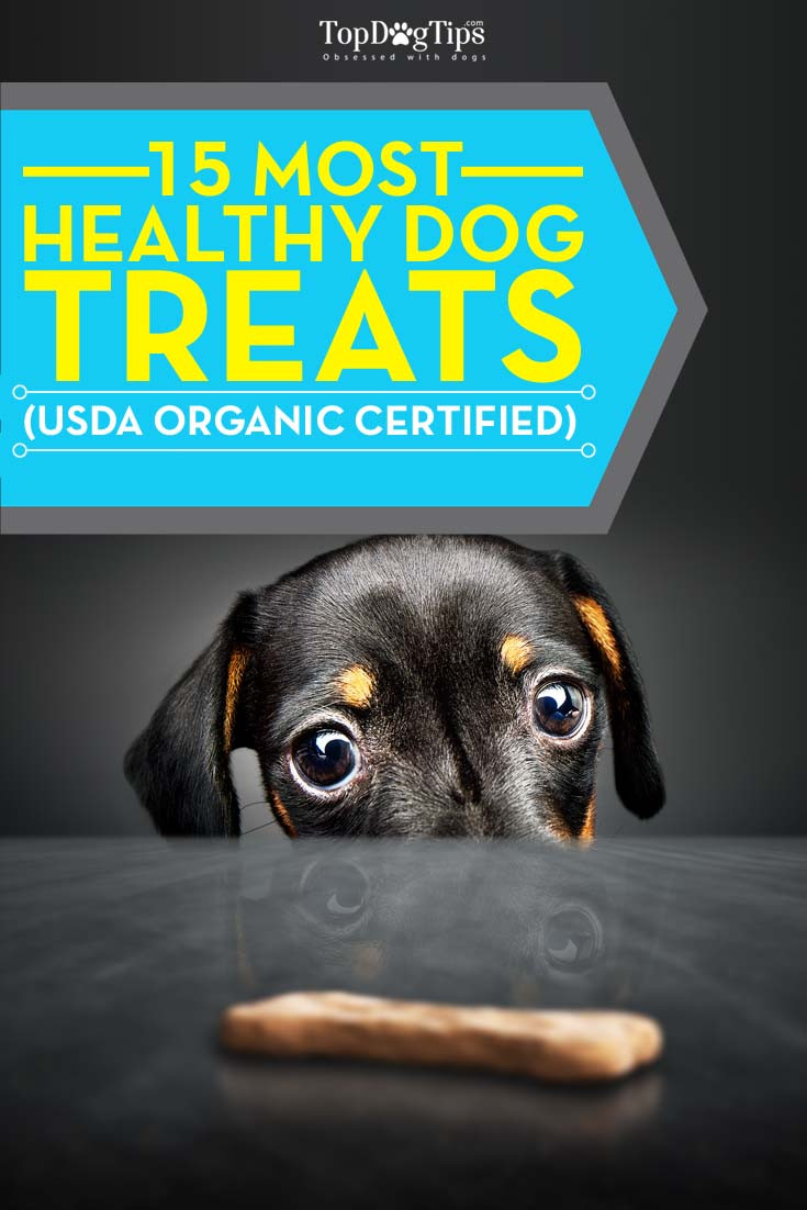 Healthy Snacks For Dogs
 Top 15 Best Healthy Treats for Dogs 2016 USDA Organic