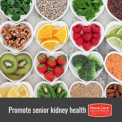 Healthy Snacks For Elderly
 Best Ways to Help Keep Elderly Kidneys Healthy