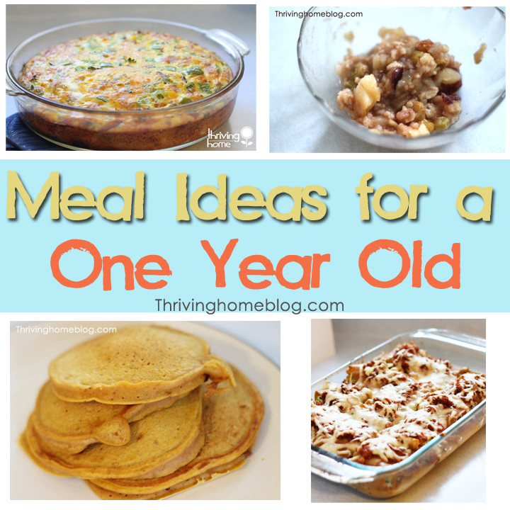 Healthy Snacks For One Year Olds
 Healthy Recipe Ideas for a e Year Old