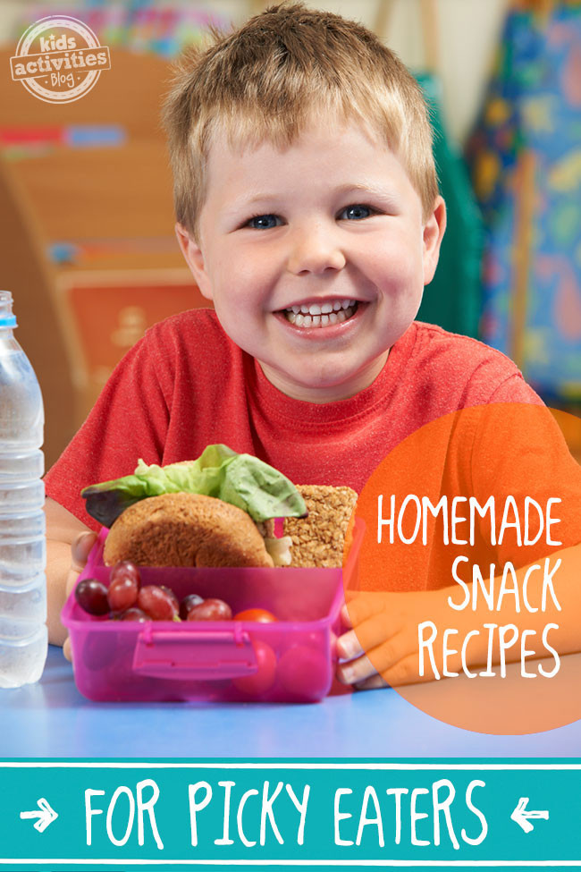 Healthy Snacks For Picky Eaters
 Picky Eaters 18 Packable Homemade Snack Recipes For School