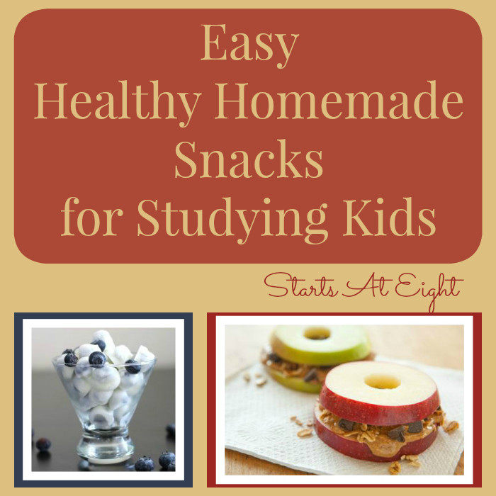 Healthy Snacks For Studying
 Easy Healthy Homemade Snacks for Studying Kids StartsAtEight