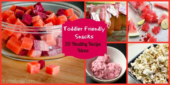 Healthy Snacks For Toddlers On The Go
 Healthy Snacks for Kids 20 toddler friendly ideas