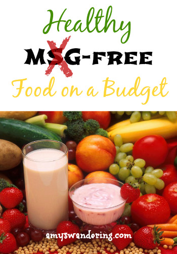 Healthy Snacks On A Budget
 Healthy MSG free Food on a Bud Amy s Wandering