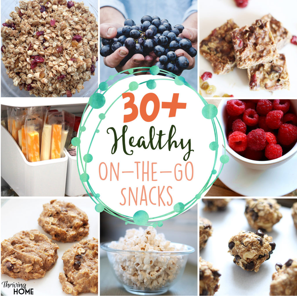 Healthy Snacks On The Go For Adults
 Health Snacks For Adults Free Real Tits