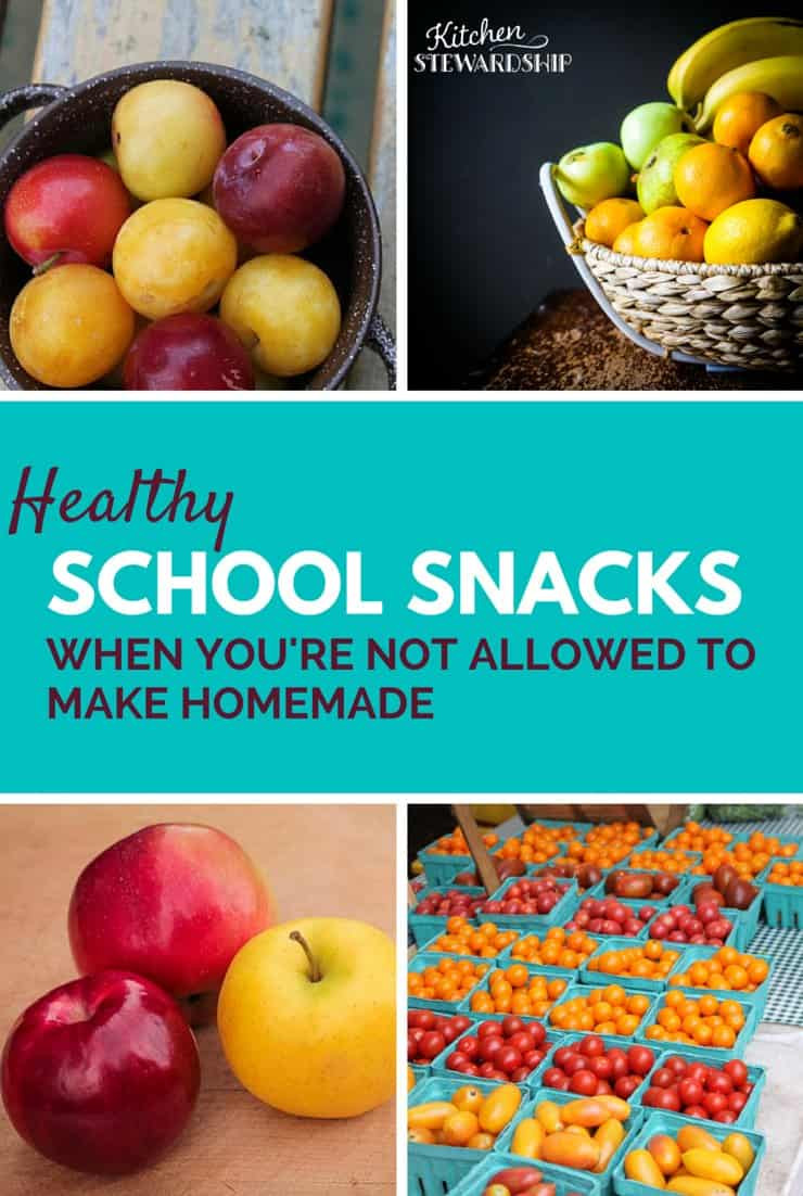 Healthy Snacks To Bring To School
 Healthy School Snack Ideas Purchased with Ingre nts Lists