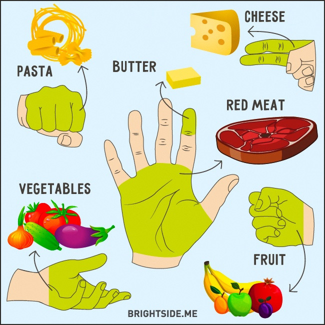 Healthy Snacks To Eat Throughout The Day
 How Much Food Should You Eat Throughout The Day