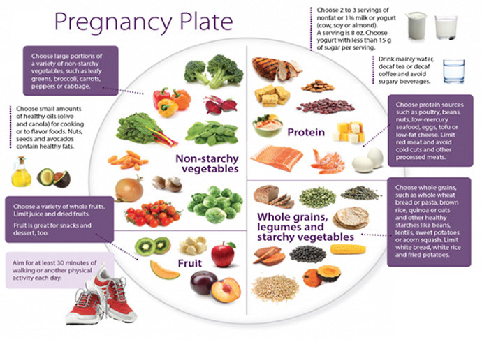 Healthy Snacks To Eat Throughout The Day
 A Crash Course What To Eat During Pregnancy