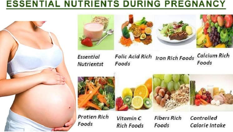 Healthy Snacks To Eat While Pregnant
 What to Eat during Pregnancy for Intelligent Baby – Some