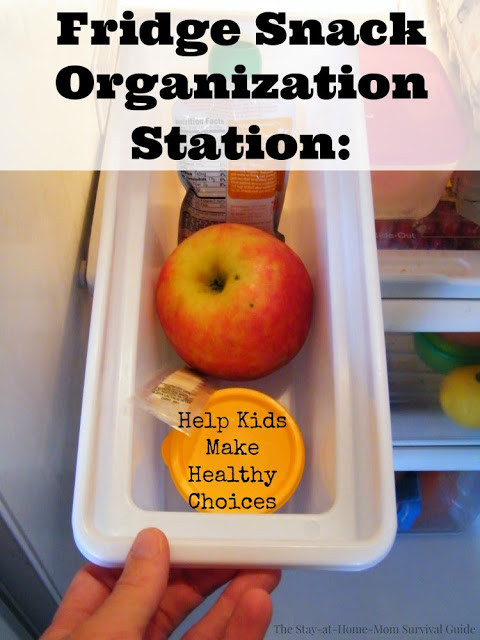 Healthy Snacks To Keep At Home
 Helping Kids Make Healthy Food Choices Snack Organization