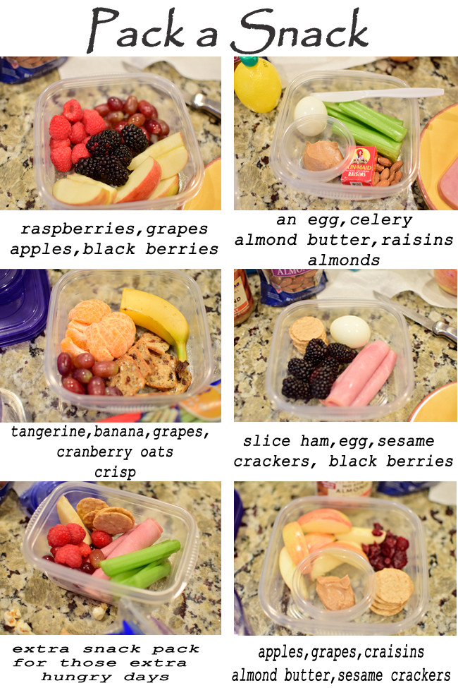 Healthy Snacks To Take To School
 After School Snacks Pack A Snack Style she Cynthia