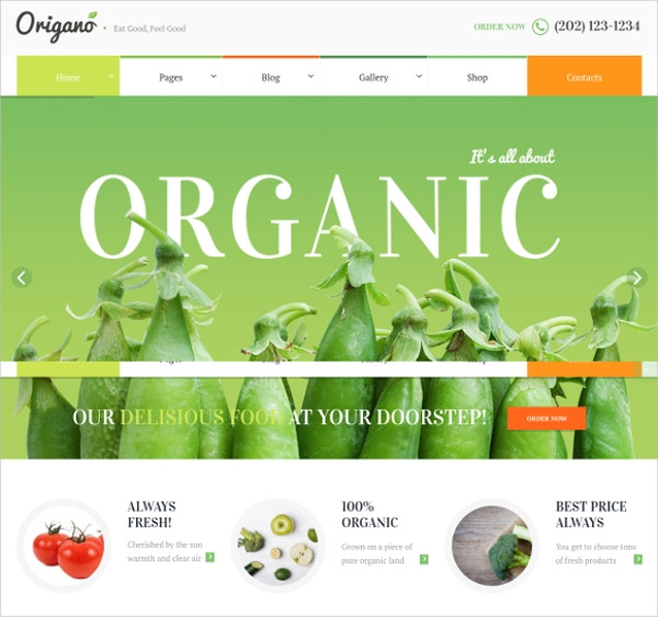 Healthy Snacks Website
 17 Organic Website Themes & Templates