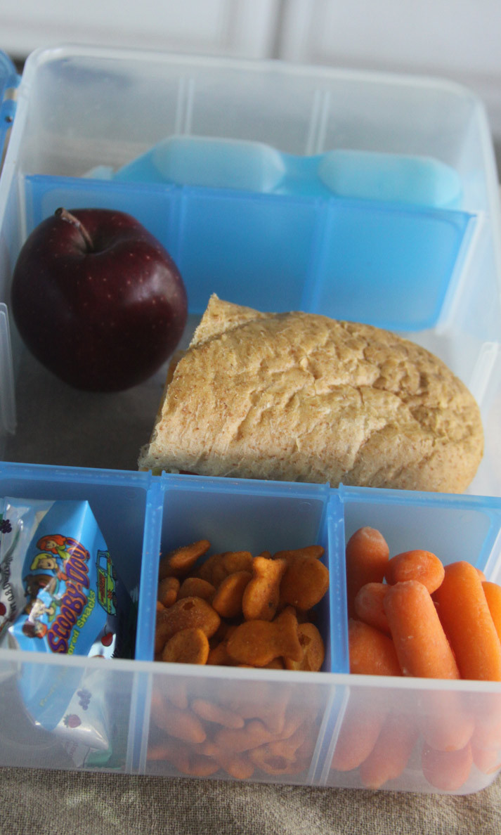 Healthy Snacks While Traveling
 The Snack Pack – Feeding Kids Healthy While Traveling And