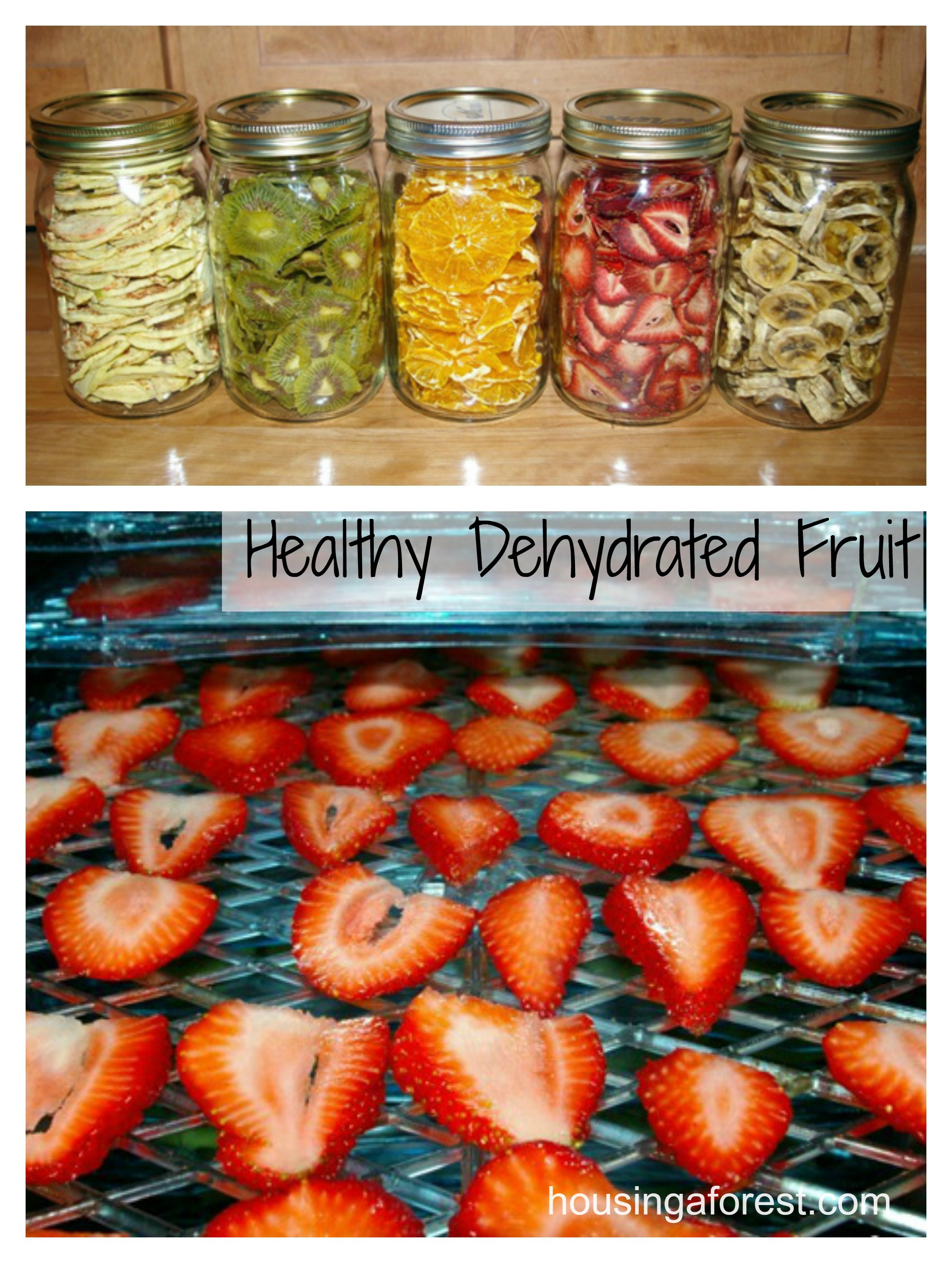 Healthy Snacks With Fruit
 Healthy Dehydrated Fruit