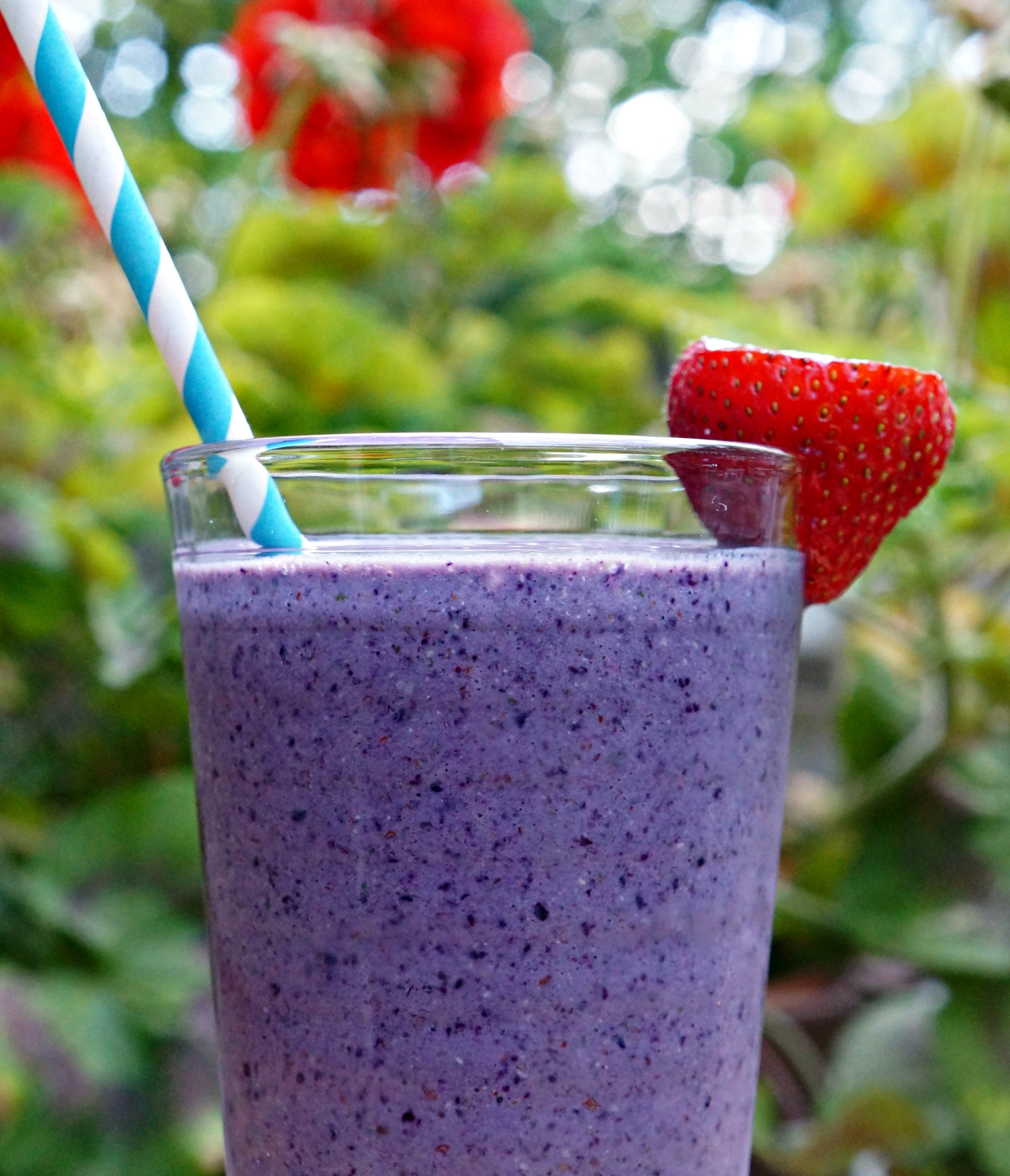 Healthy Sweet Smoothies
 Sweet and Healthy Blueberry Smoothie Berrybogg Farm