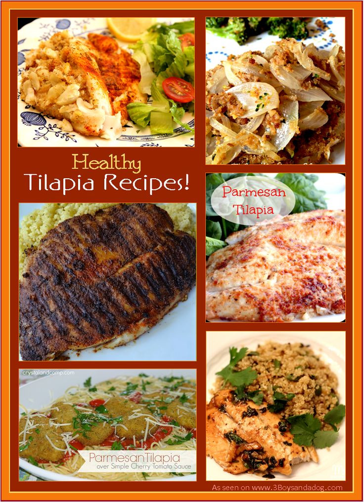 Healthy Tilapia Recipes For Weight Loss
 100 Healthy Tilapia Recipes on Pinterest