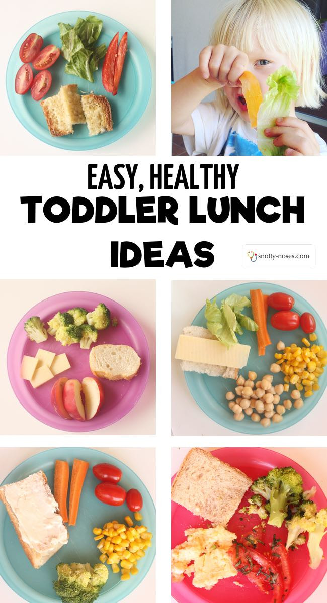 Healthy Toddler Lunches
 Healthy Toddler Lunch Ideas