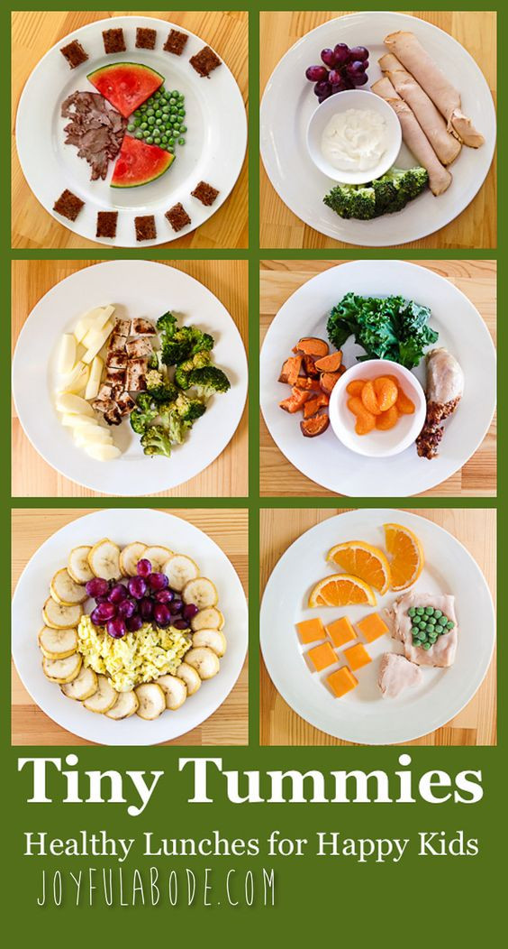 Healthy Toddler Lunches
 Lunches Healthy lunches and Toddlers on Pinterest