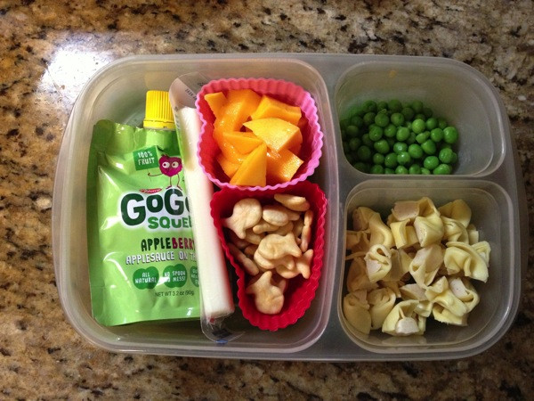 Healthy Toddler Lunches
 Easy to pack lunches for toddlers and preschoolers