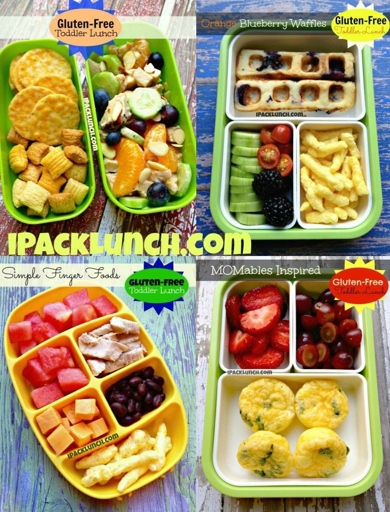 Healthy Toddler Lunches
 Gluten free toddler preschool healthy lunch ideas