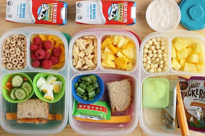 Healthy Toddler Snacks On The Go
 15 Toddler Lunch Ideas for Daycare No Reheating Required