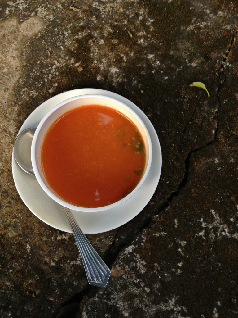 Healthy Tomato Soup Recipe
 Quick Healthy Tomato Soup & An Ayurvedic Retreat in Kerala