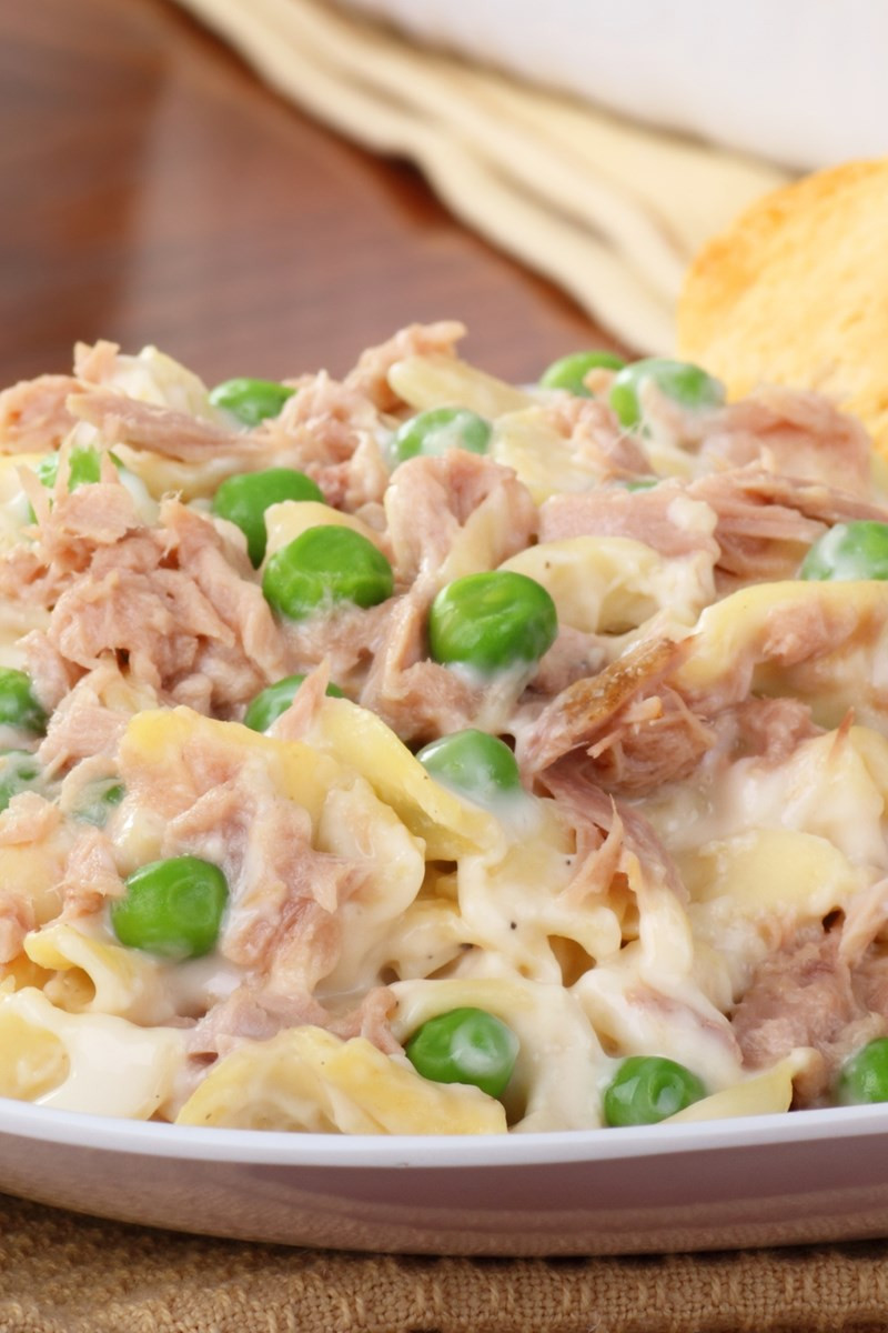 Healthy Tuna Casserole Without Soup
 cheese tuna casserole without soup