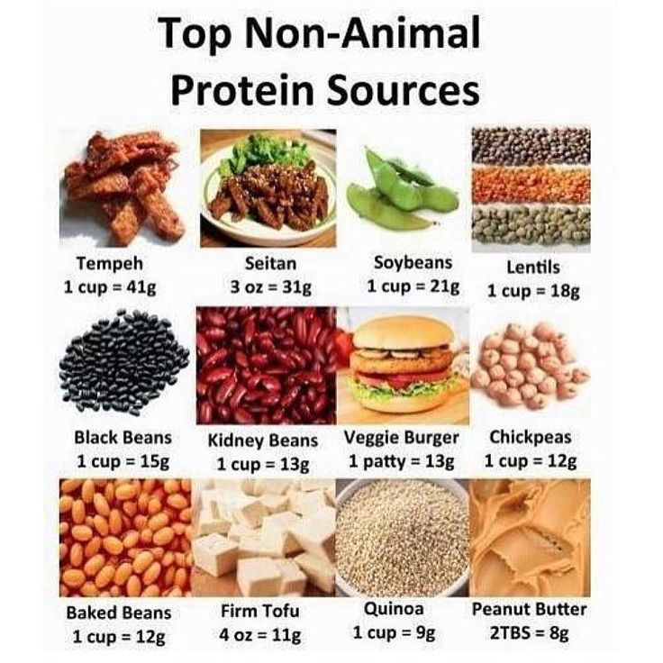 Healthy Vegetarian Protein
 Health Guru Tip of the Day You can find healthy protein