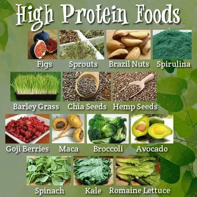 Healthy Vegetarian Protein
 Healthy proteins for ve arian great health