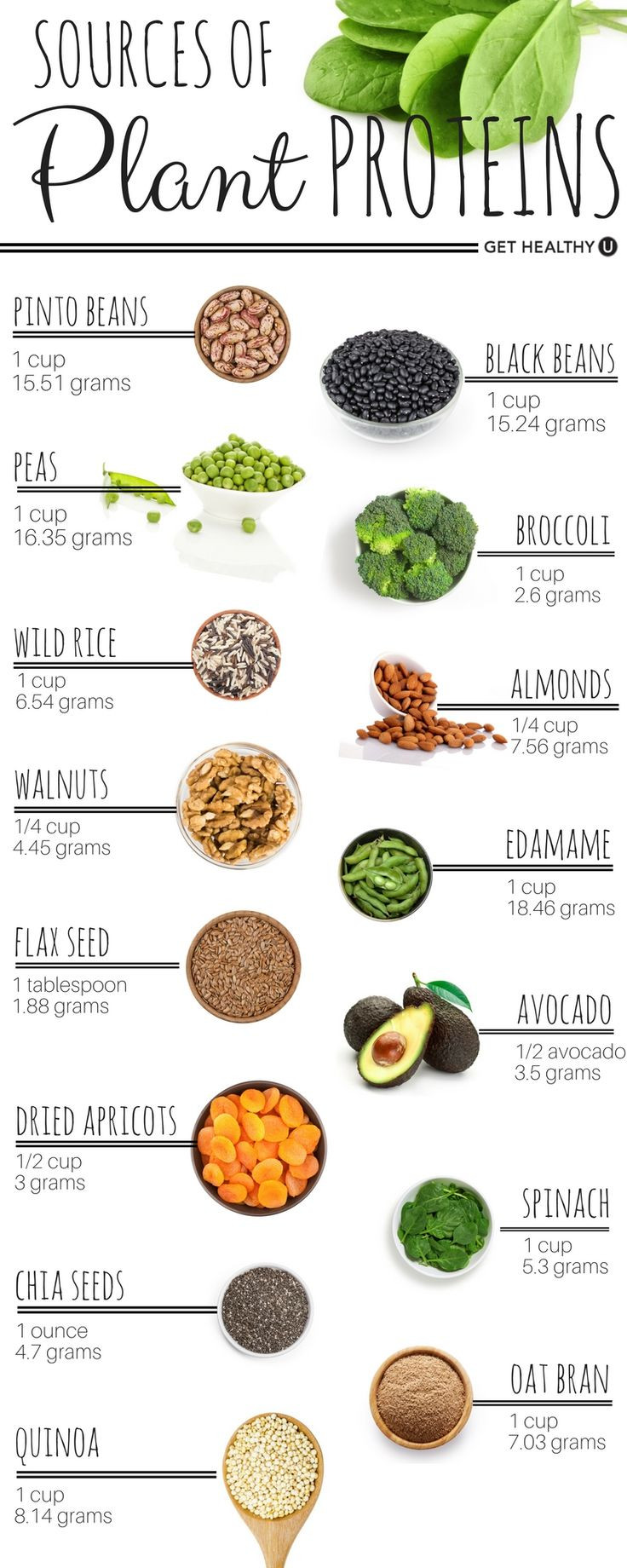 Healthy Vegetarian Protein
 58 best Protein Chart images on Pinterest