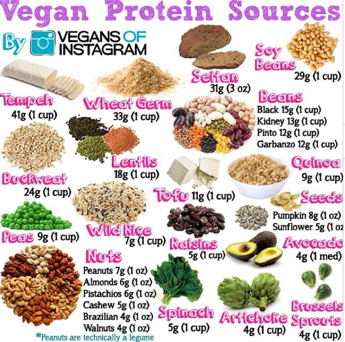 Healthy Vegetarian Protein
 Protein sources in vegan and ve arian t