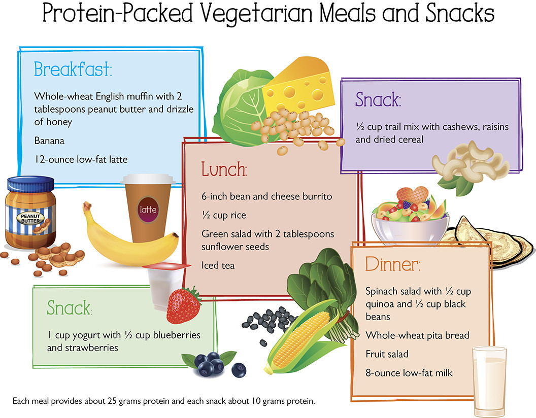 Healthy Vegetarian Protein
 Protein