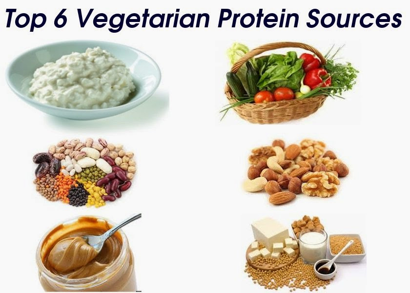 Healthy Vegetarian Protein
 Top 6 Protein Sources for Ve arians Stay Healthy