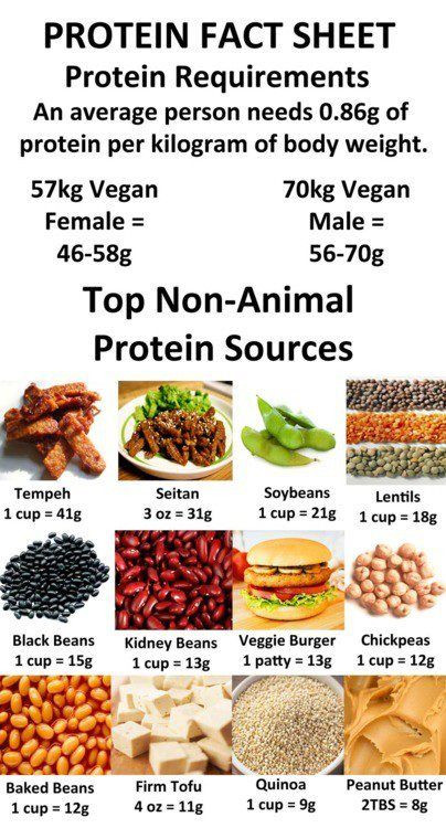 Healthy Vegetarian Protein
 1000 ideas about Vegan Protein Sources on Pinterest