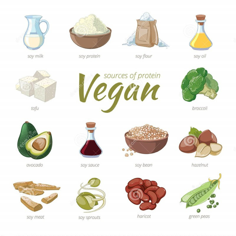 Healthy Vegetarian Protein
 Ve able Protein What Foods Are Good Sources Protein