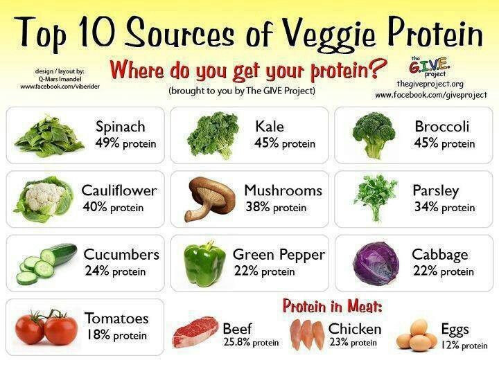 Healthy Vegetarian Protein
 Veggie Protein Sources