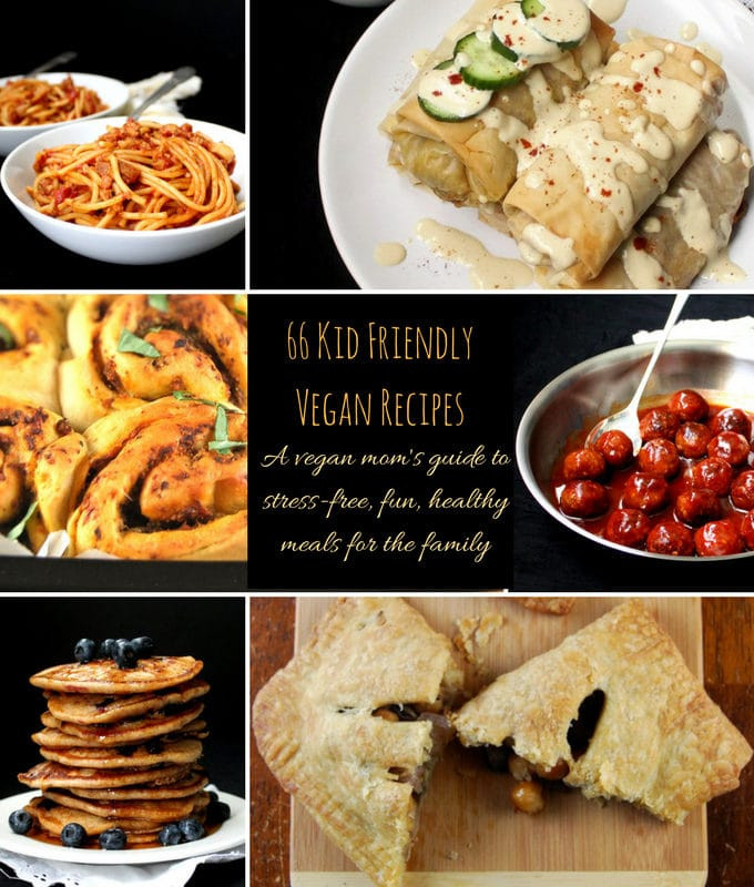 Healthy Vegetarian Recipes Kid Friendly
 66 Kid Friendly Vegan Recipes A vegan mom s guide to