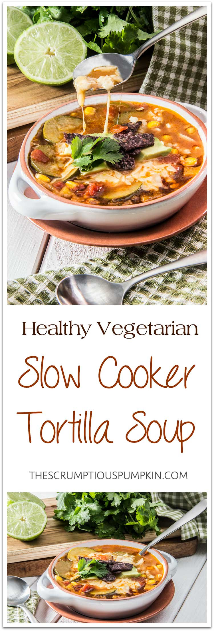 Healthy Vegetarian Slow Cooker Recipes
 Slow Cooker Tortilla Soup [Ve arian] The Scrumptious