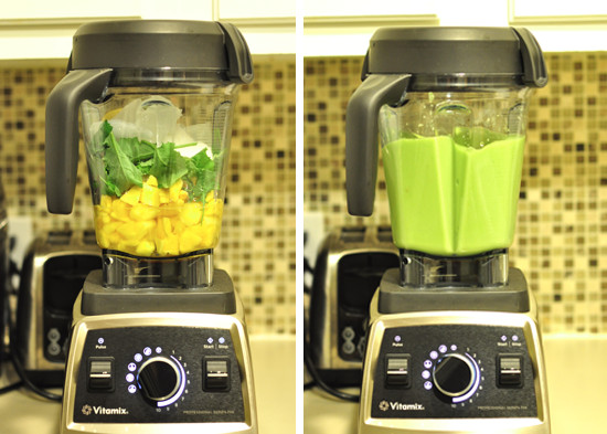Healthy Vitamix Smoothies
 [Review] Smoothie Shake or Juice Junkie You NEED A