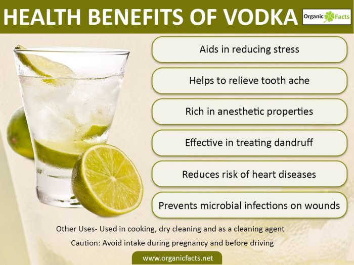 Healthy Whiskey Drinks
 Top 7 Impressive Benefits of Vodka