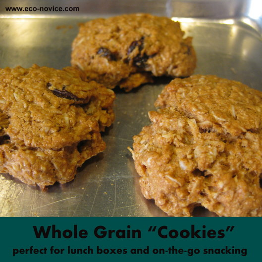 Healthy Whole Grain Snacks
 Healthy Homemade Snack Whole Grain "Cookies" Updated