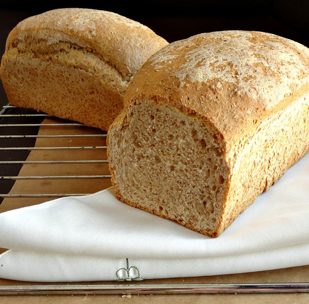 Healthy Whole Wheat Bread
 healthy whole wheat bread recipe