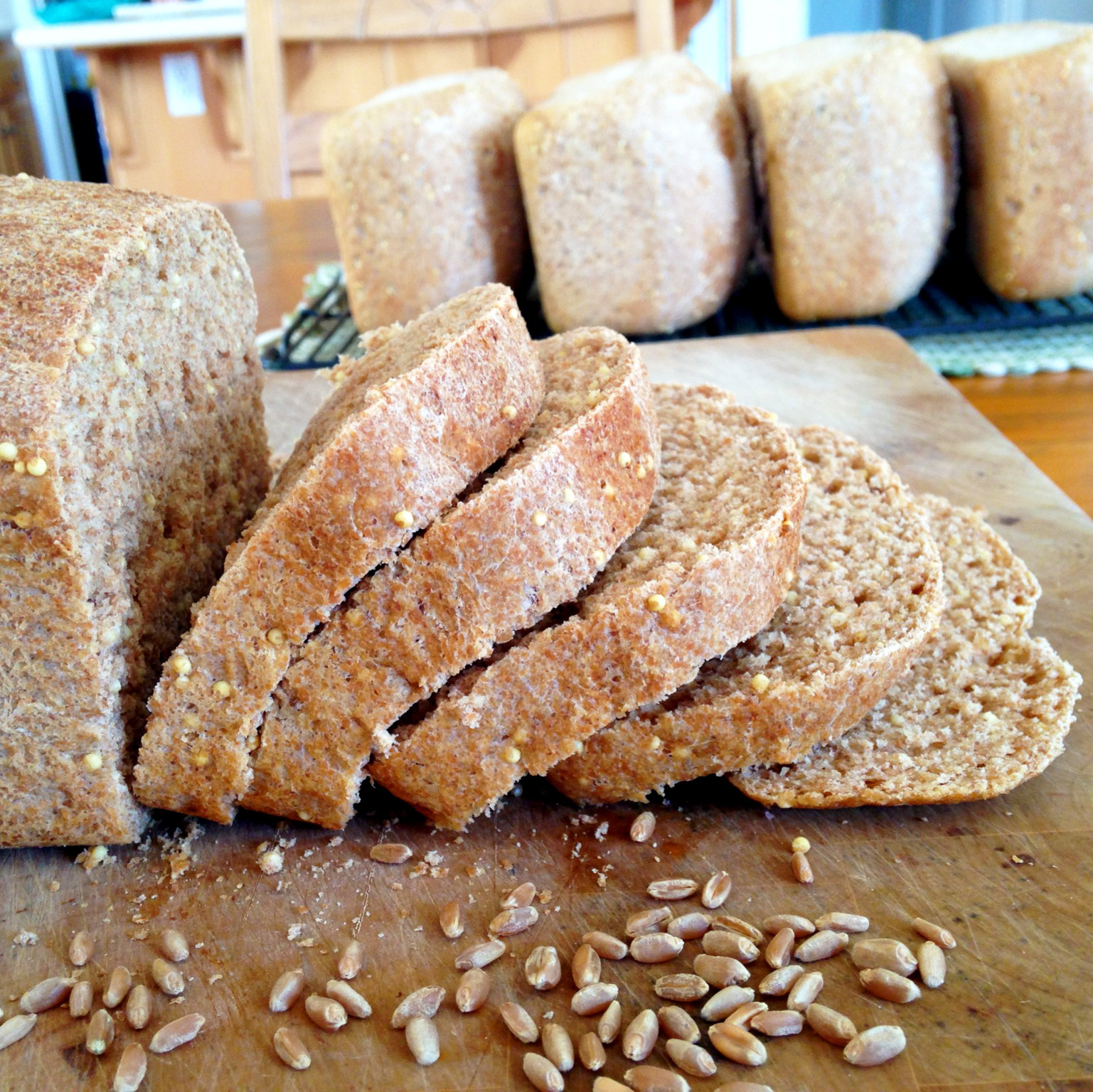Homemade Healthy Bread
 Live Right Be Healthy Homemade Whole Wheat Bread