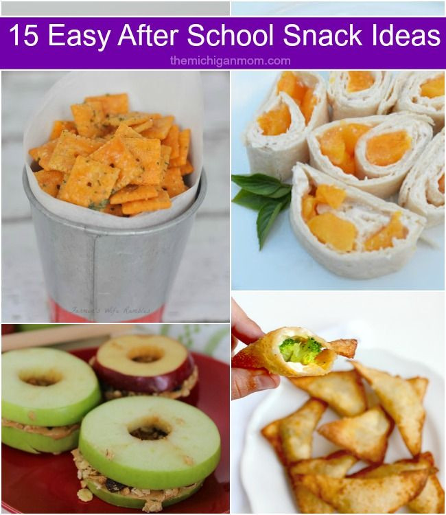 Homemade Healthy Snacks For School
 15 Easy After School Snack Ideas The Michigan Mom