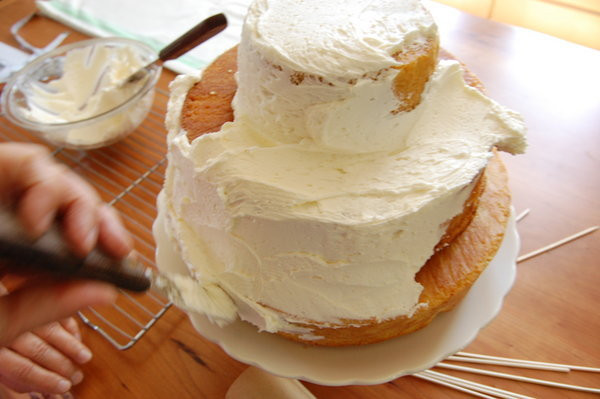 Homemade Wedding Cake Recipes
 DIY Make a Homemade Wedding Cake Project Wedding