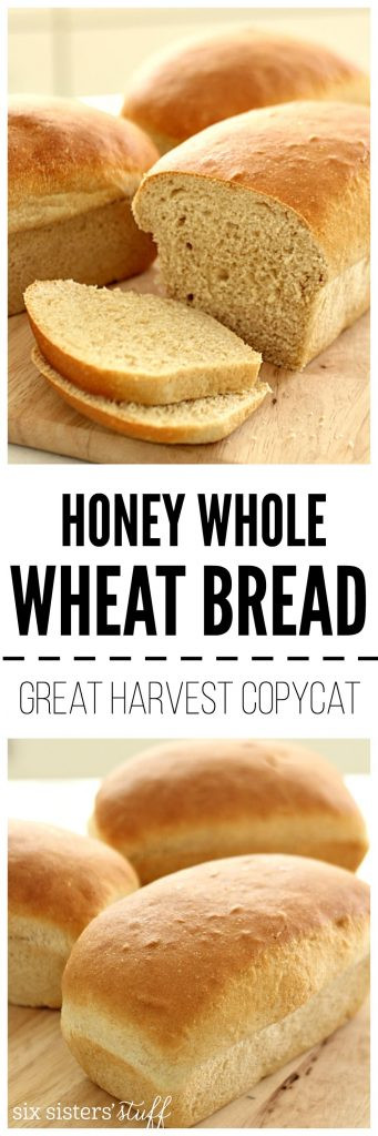 Honey Wheat Bread Healthy
 Great Harvest Honey Whole Wheat Bread Copycat